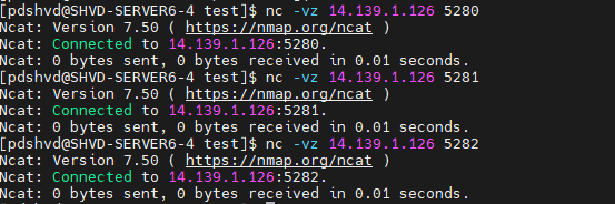 Port connectivity screenshot