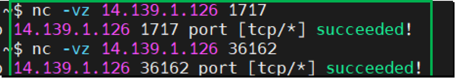 Port connectivity screenshot