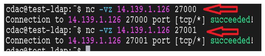 Port connectivity screenshot